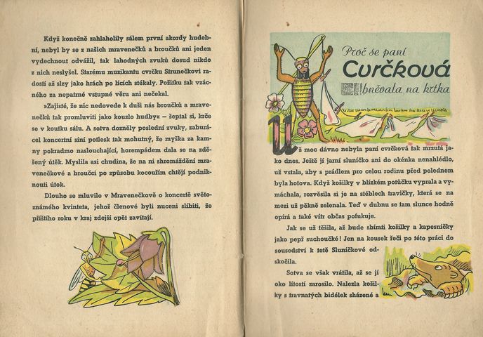 NA BESEDĚ U ZVÍŘÁTEK – detail 1