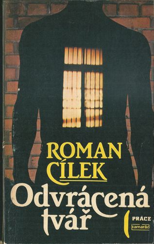 ODVRÁCENÁ TVÁŘ – detail 1