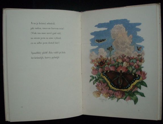 STUŽKONOSKA MODRÁ – detail 1