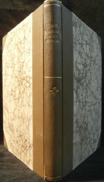 HNEDLE JAKO V KÁNI GALILEJSKÉ – detail 1