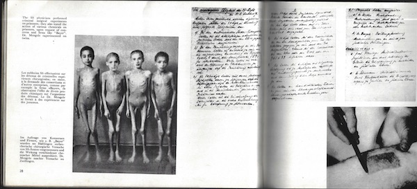 KL AUSCHWITZ – detail 1