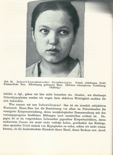 KÖRPERBAU UND CHARAKTER – detail 1