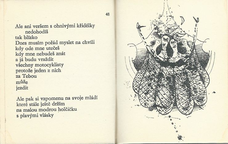 POŠTOVNÍ HOLUBI PAMĚTI – detail 1