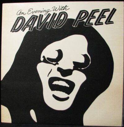 AN EVENING WITH DAVID PEEL LP deska