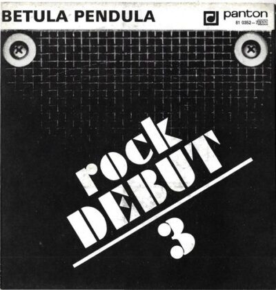 BETULA PENDULA – ROCK DEBUT 3 SP deska