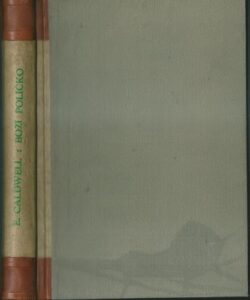 BOŽÍ POLÍČKO – E. Caldwell