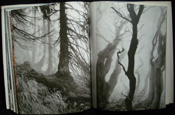 KRKONOŠE – detail 2