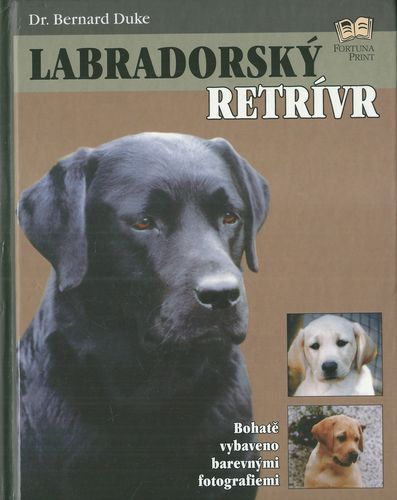 LABRADORSKÝ RETRÍVR – detail 1
