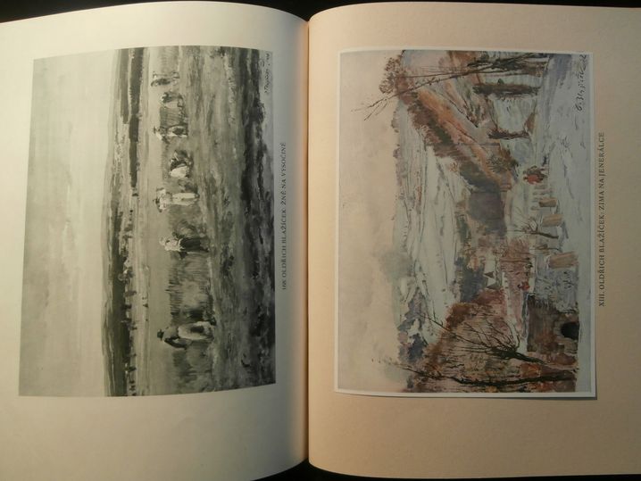 MÁ VLAST – detail 1