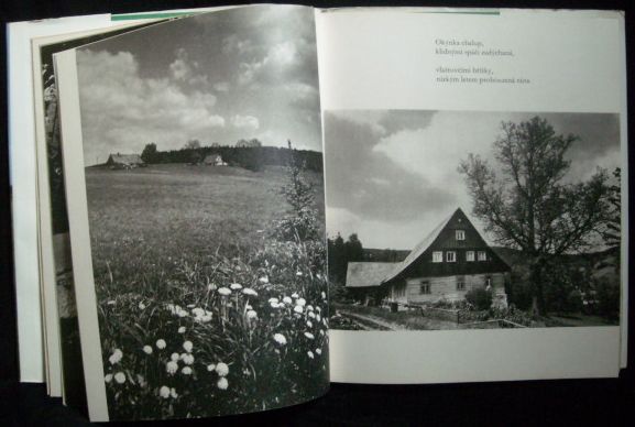 ORLICKÉ HORY – detail 1