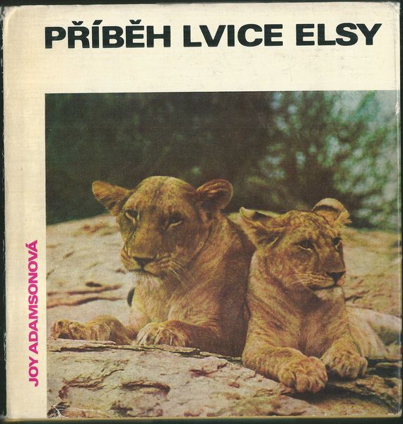 PŘÍBĚH LVICE ELSY – Joy Adamsonová