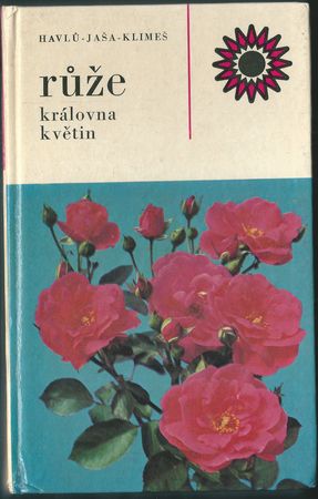 ruzekrkvetin RŮŽE