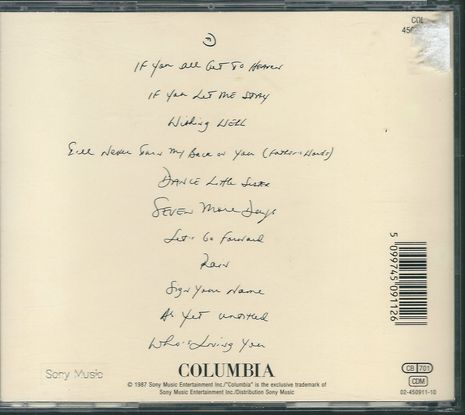 TERENCE TRENT D ARBY INTRODUCING THE HARDLINE ACCORDING TO – detail 1