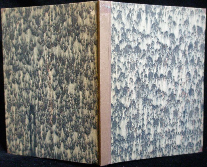 ÚVOD DO POLITIKY – detail 1