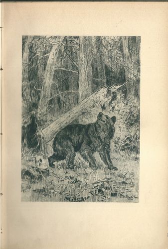 Z LOVŮ NA SLOVENSKU – detail 1