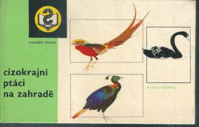 cizokrajní ptáci na zahradě CIZOKRAJNÍ PTÁCI NA ZAHRADĚ