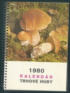 FLÓRA – TRHOVÉ HUBY kalendář