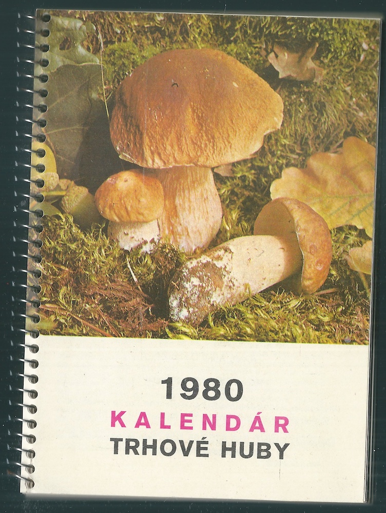 FLÓRA – TRHOVÉ HUBY kalendář