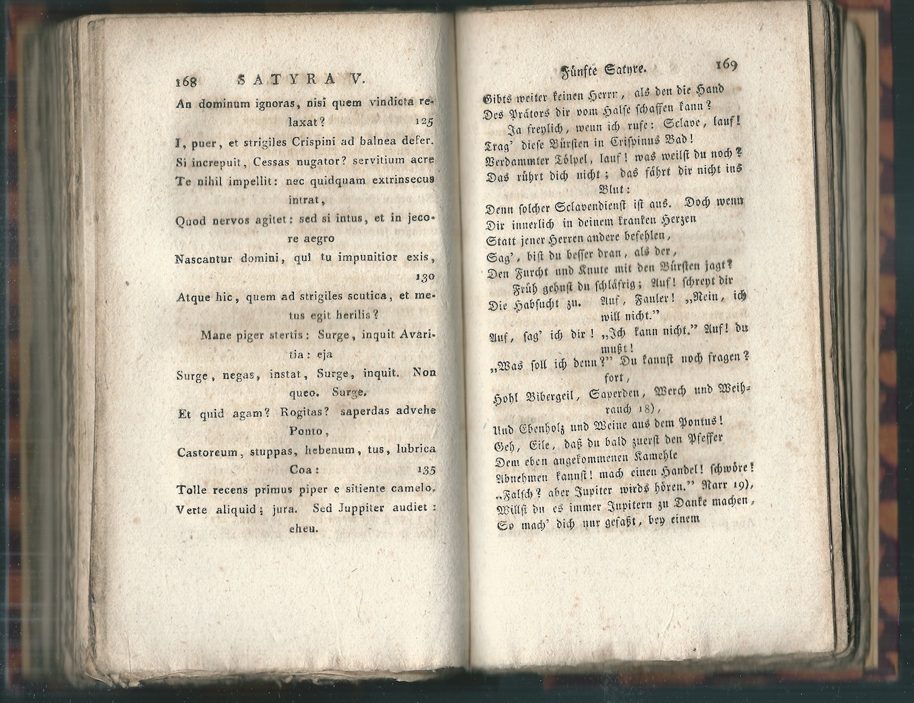 SATYRAE - Obrázek 2