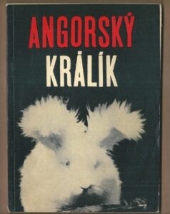 ANGORSKÝ KRÁLÍK