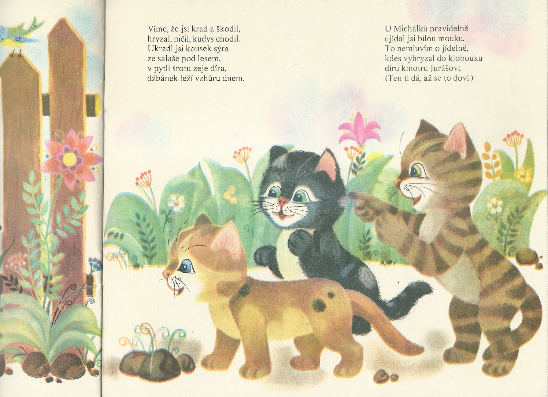 KOTĚ JMÉNEM MOUREČEK A S NÍM CELÝ DVOREČEK - Obrázek 3