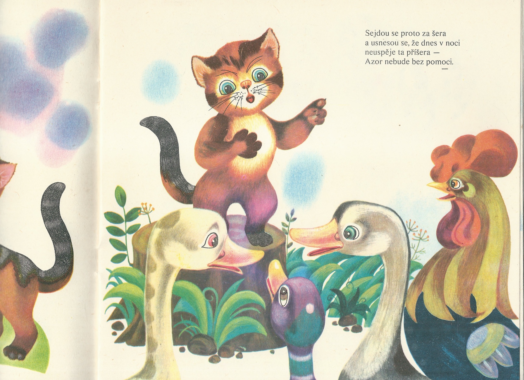 KOTĚ JMÉNEM MOUREČEK A S NÍM CELÝ DVOREČEK - Obrázek 2