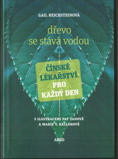 dřevo se stává vodou DŘEVO SE STÁVÁ VODOU