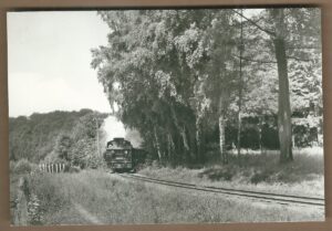 KLEINBAHN AUF DER INSEL RÜGEN