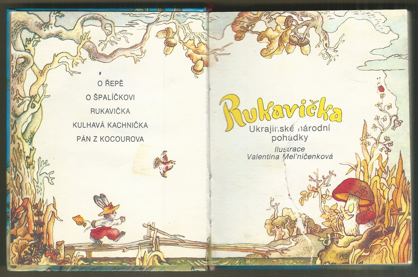 RUKAVIČKA - Obrázek 2