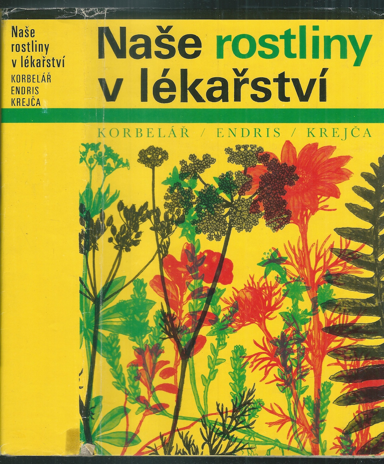 NAŠE ROSTLINY V LÉKAŘSTVÍ - Obrázek 4