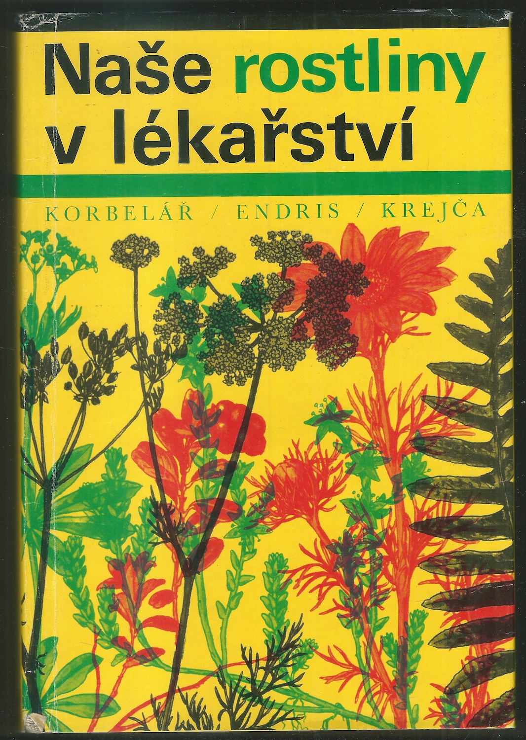 NAŠE ROSTLINY V LÉKAŘSTVÍ
