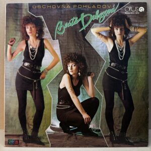 BEÁTA DUBASOVÁ – ÚSCHOVŇA POHĽADOV (LP)