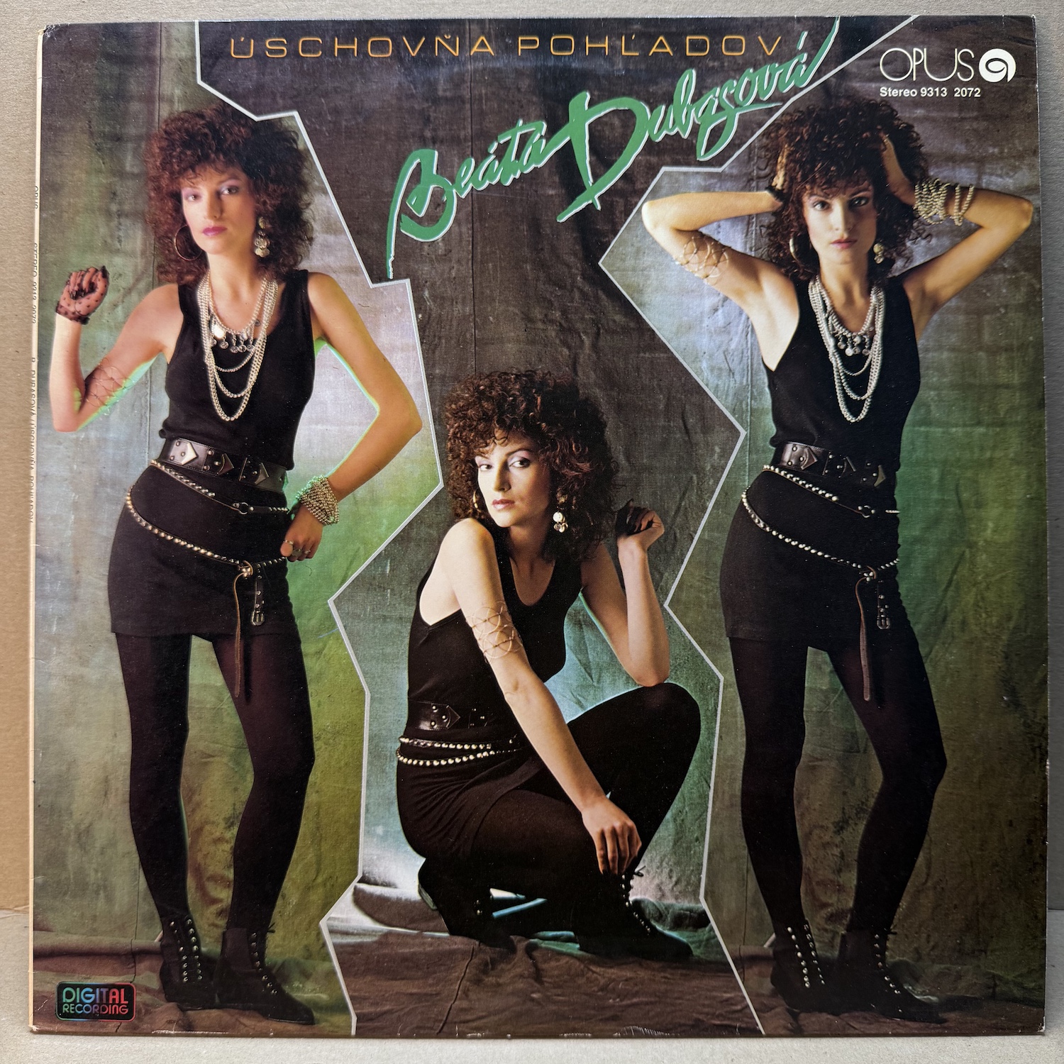 BEÁTA DUBASOVÁ – ÚSCHOVŇA POHĽADOV (LP)